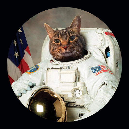 Astrocat