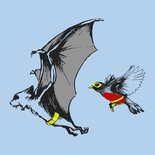 Bat and Robin