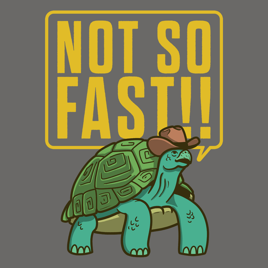 Not So Fast!!
