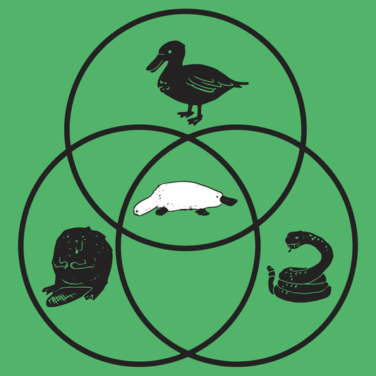 Platypus Venn Diagram