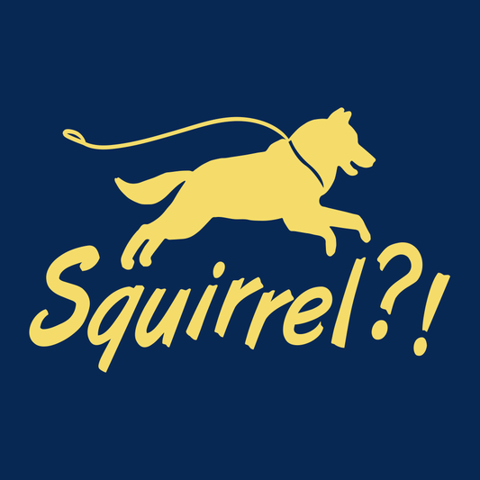 Squirrel?!