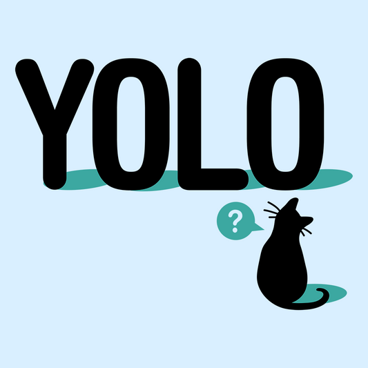 YOLO Cat