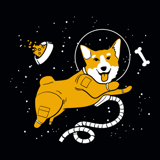 Astrocorg