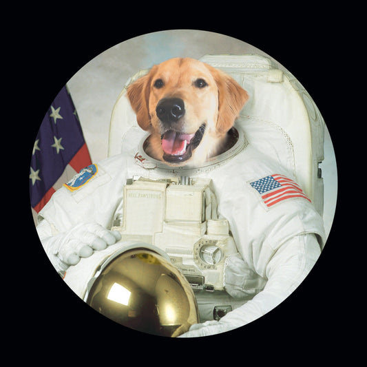 Astrodog