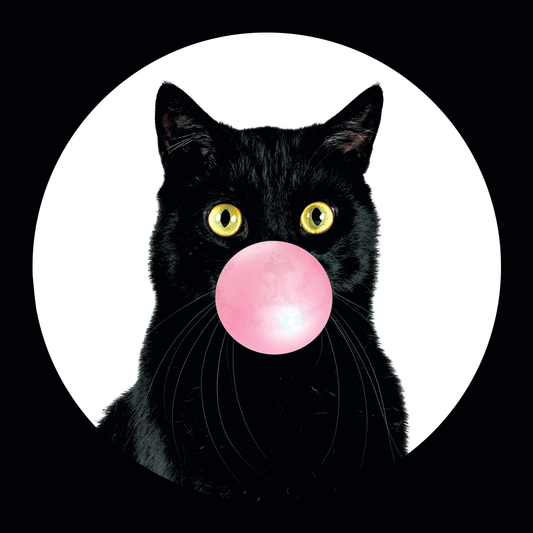 Bubble Cat