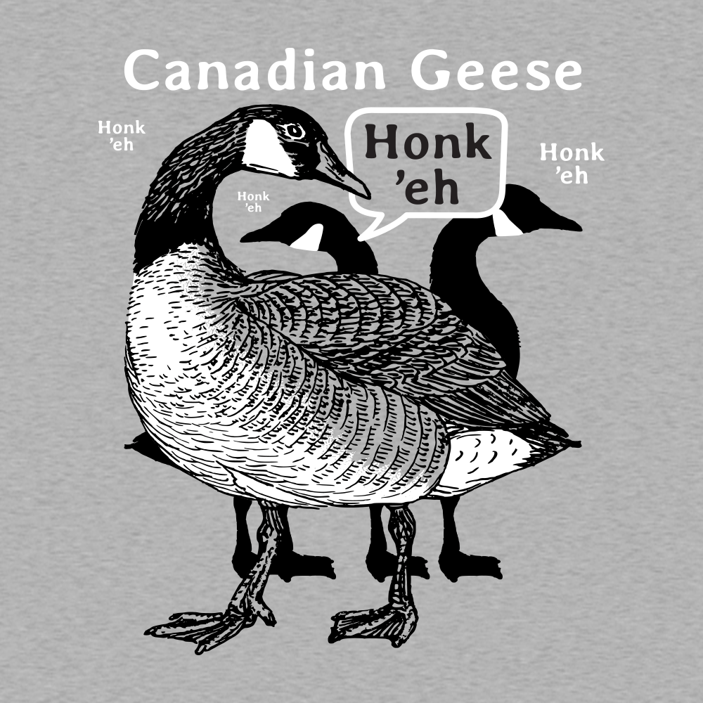 Canadian Geese