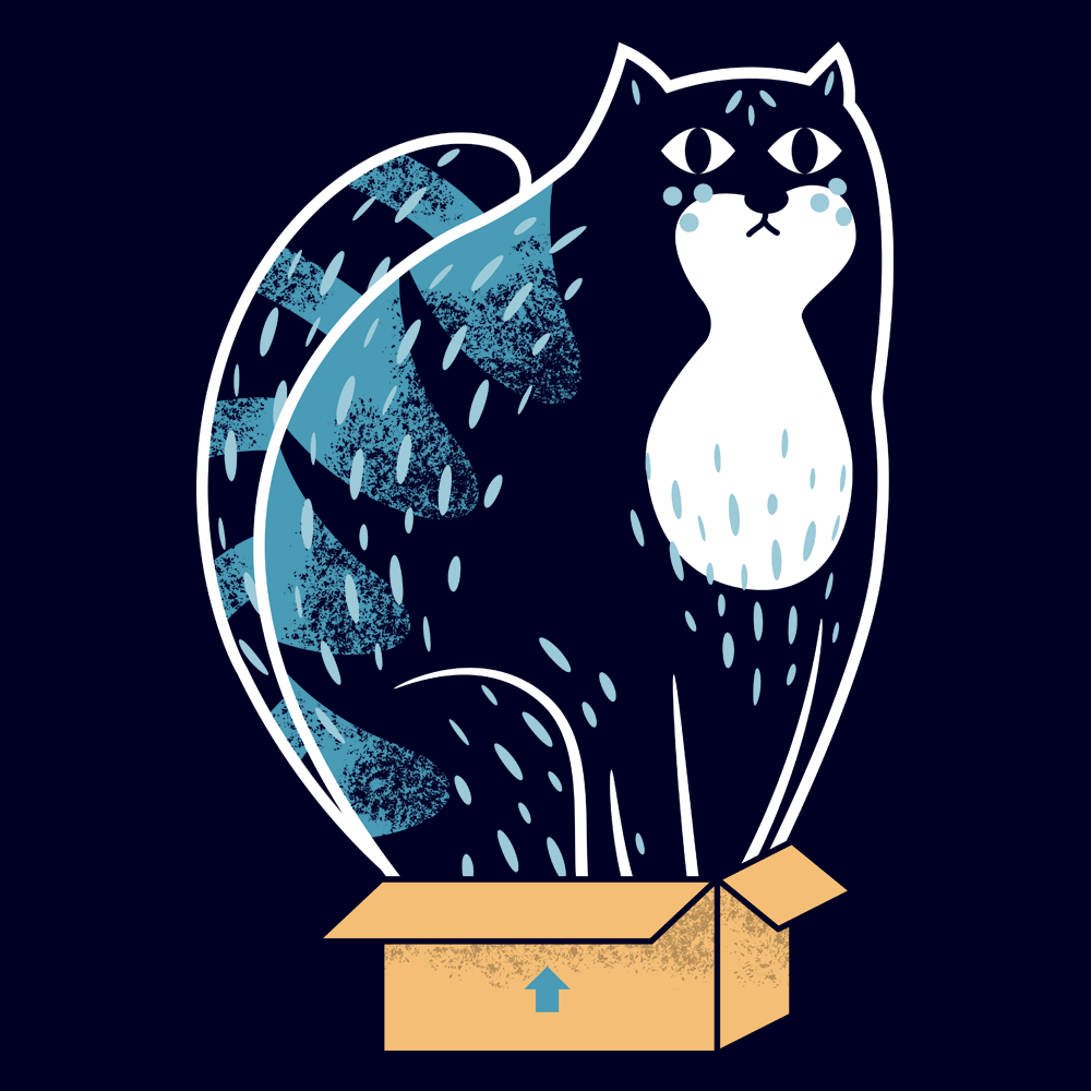 Cat In A Box