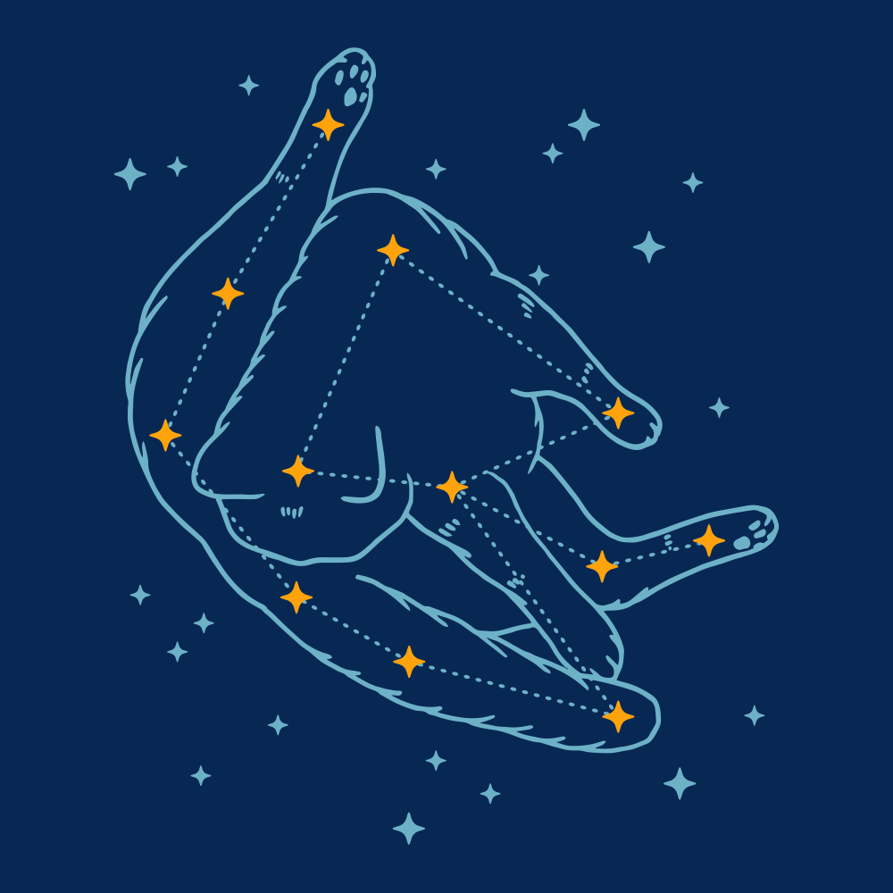 Catstellation