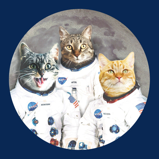 Catstronauts