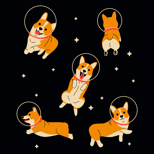 Corgis In Space