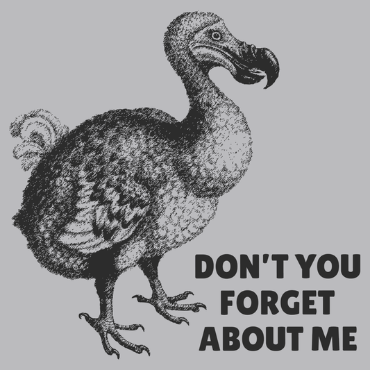 Don't You Forget About Me