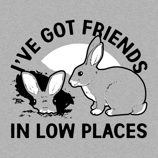 I've Got Friends In Low Places