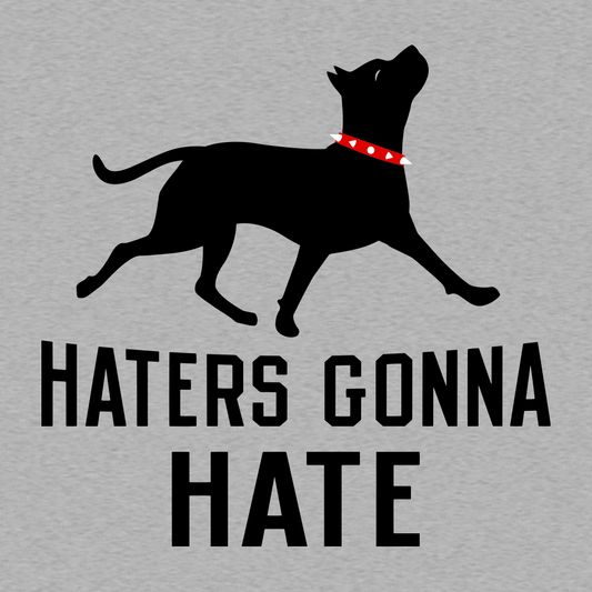 Haters Gonna Hate Pit