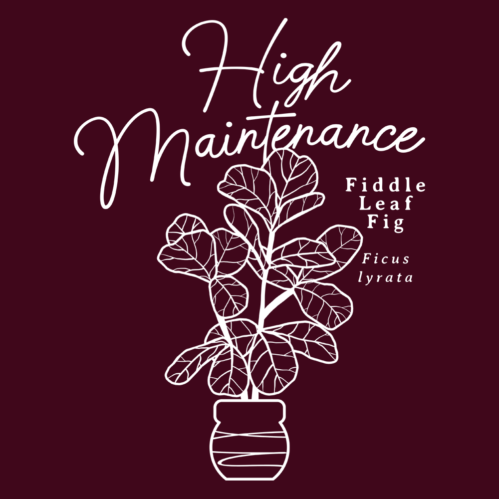 High Maintenance
