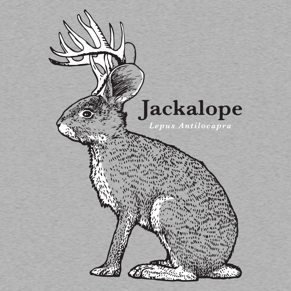 Jackalope