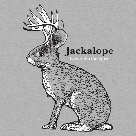 Jackalope