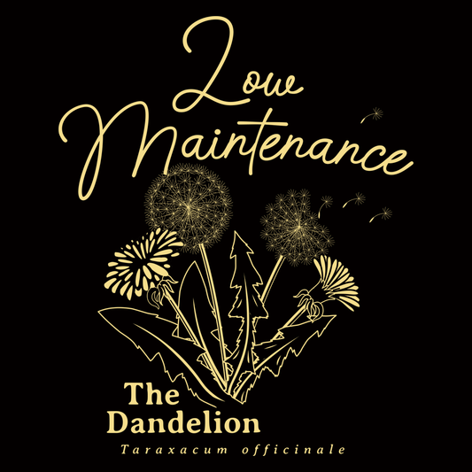 Low Maintenance