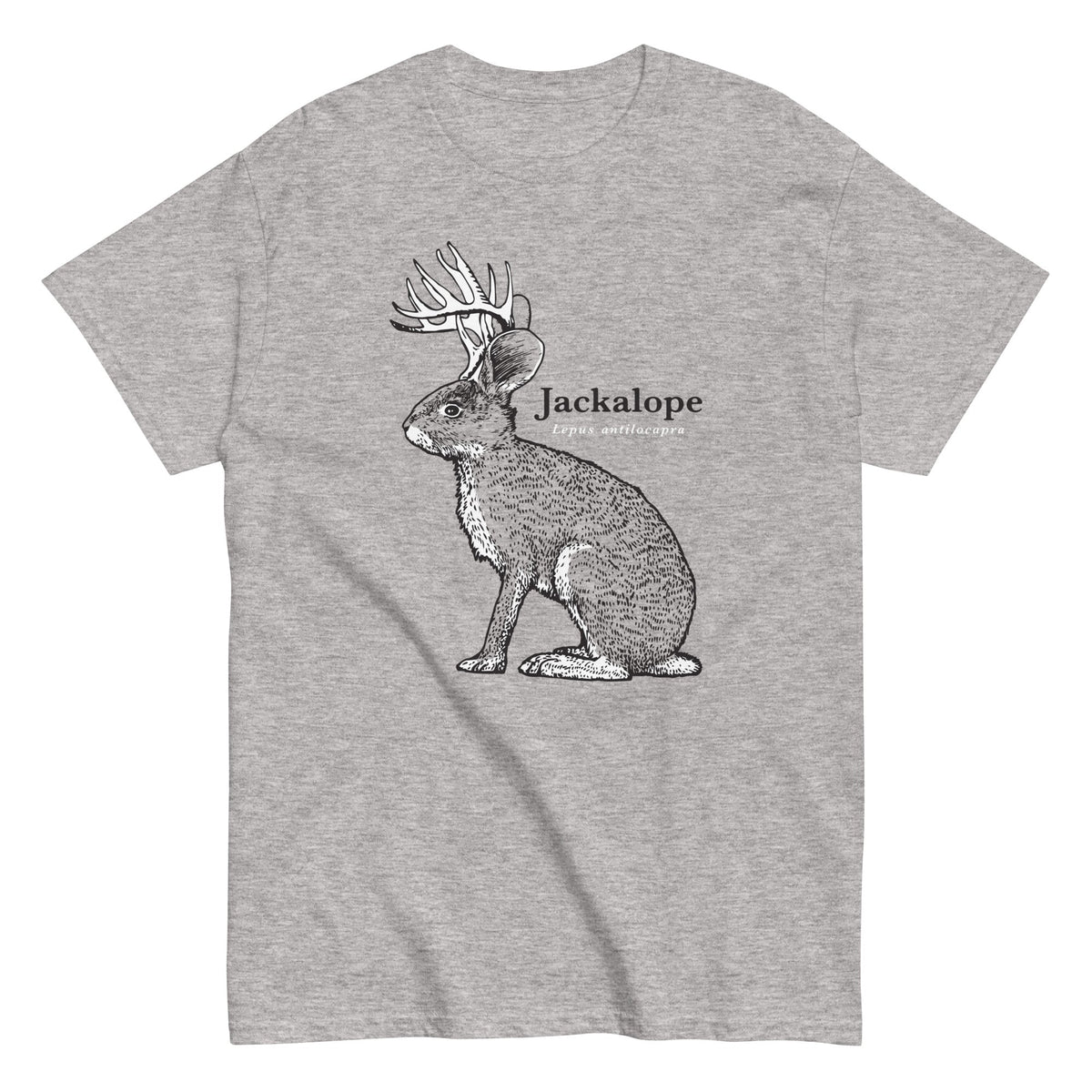 Jackalope - T-shirt herr