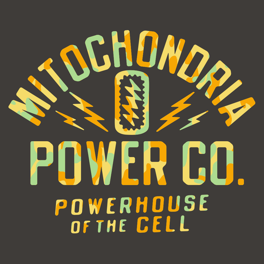 Mitochondria Powerhouse Of The Cell