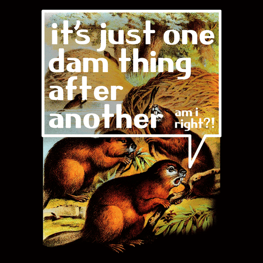 It's Just One Dam Thing After Another
