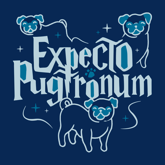 Expecto Pugtronum