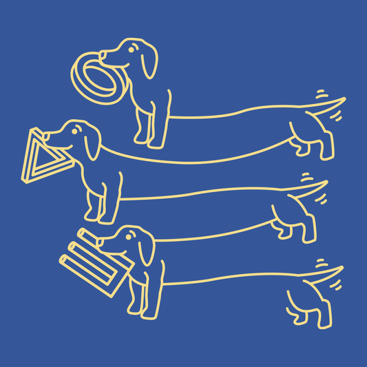 Puptical Illusion