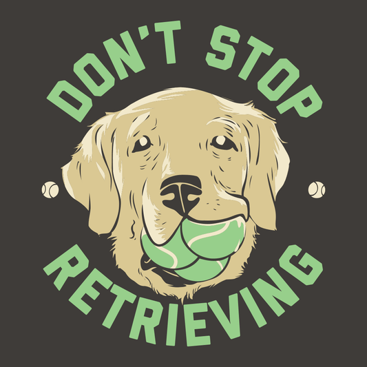 Don't Stop Retrieving
