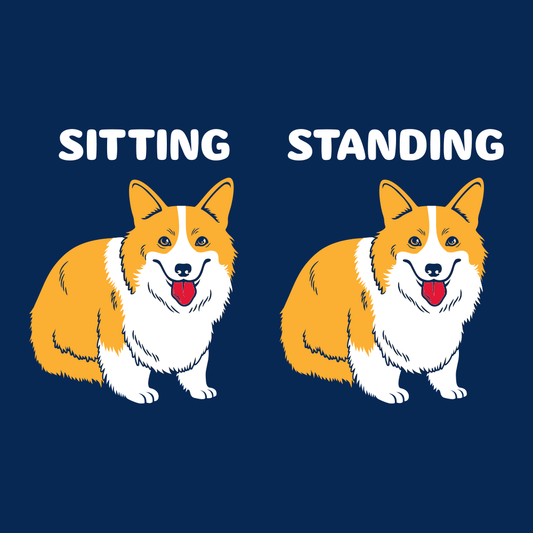 Corgi Sitting And Standing