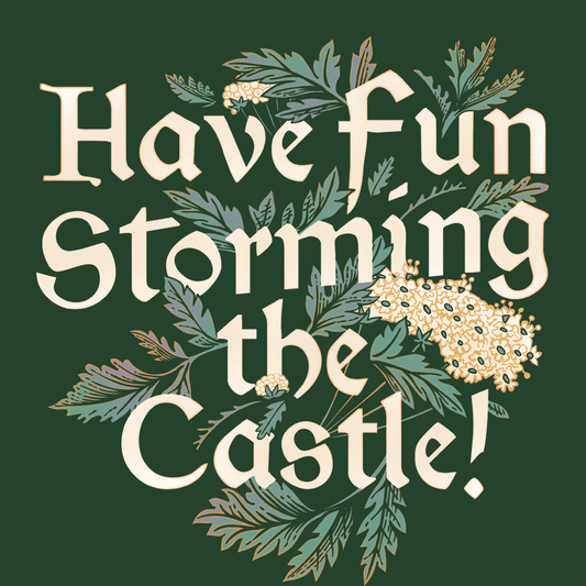 Have Fun Storming The Castle!