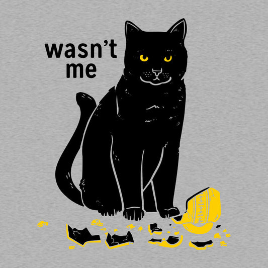 Wasn't Me