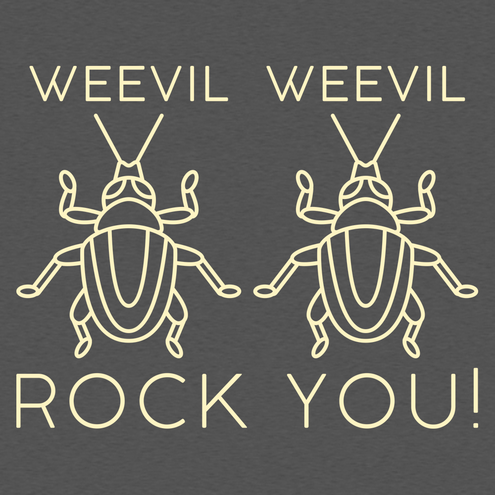 Weevil Weevil Rock You!