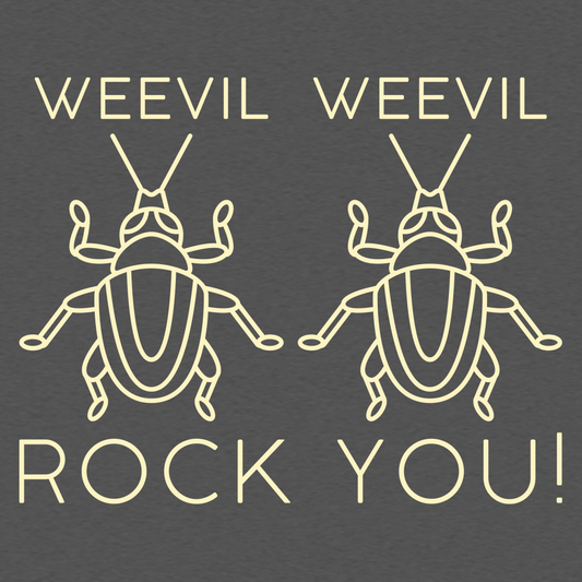Weevil Weevil Rock You!