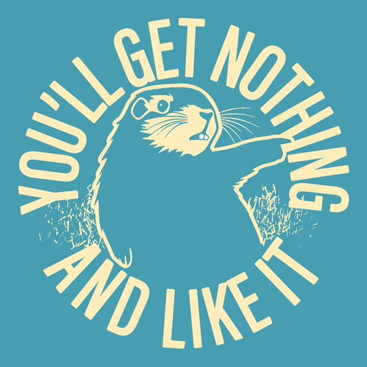 You'll Get Nothing And Like It